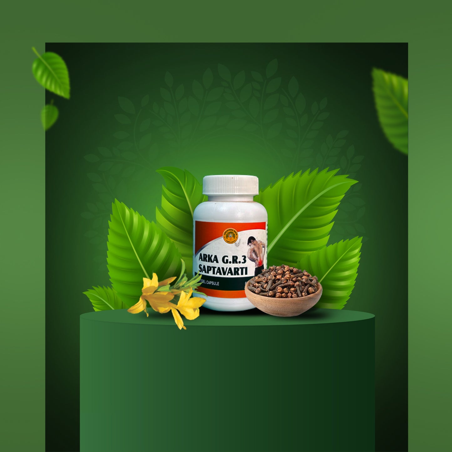 Arka G.R.3 SAPTAVARTI
